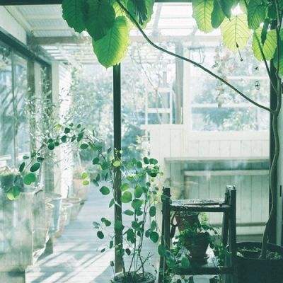 云开平台app官方最新版本