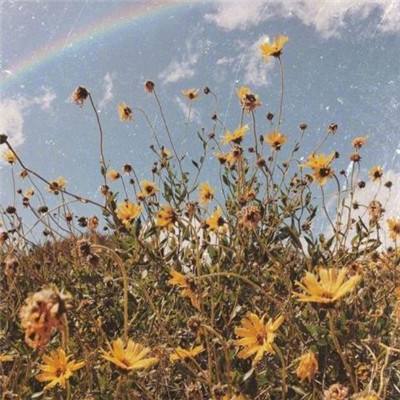 bob手机网页版登录入口