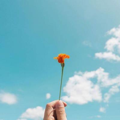 完美体育·app下载