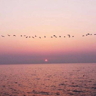 bob手机网页版登录入口