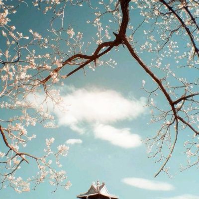 三亿体育app下载